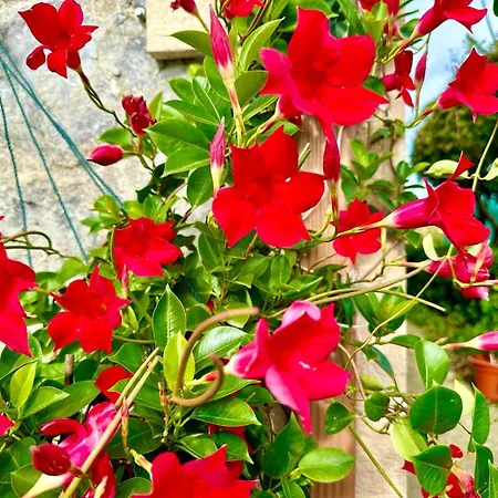 Hébergement de vacances Casa Familiar En Meruelo Con Jardin *